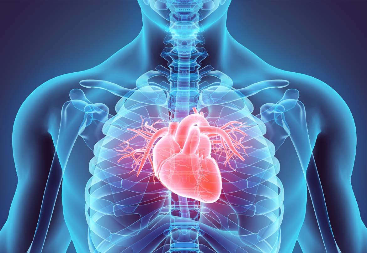 cardiologia e angiologia